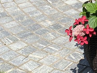 Galerie 1 Pflastersteine Gneis Urban Grey Line im Grnen mit Blumen