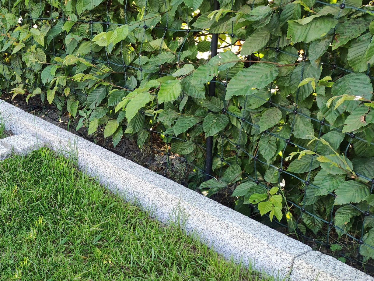 Robust und langlebig: Granit-Rasenkanten. Kundenfoto Rasenkanten Silver Granit Classico mit Rasen