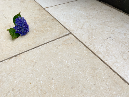 Kalkstein-Royal-Beige-Hortensie-schrg3