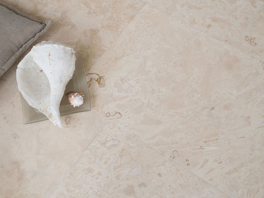 Weiße Muschel auf Travertinfliese Classic Light von oben fotografiert