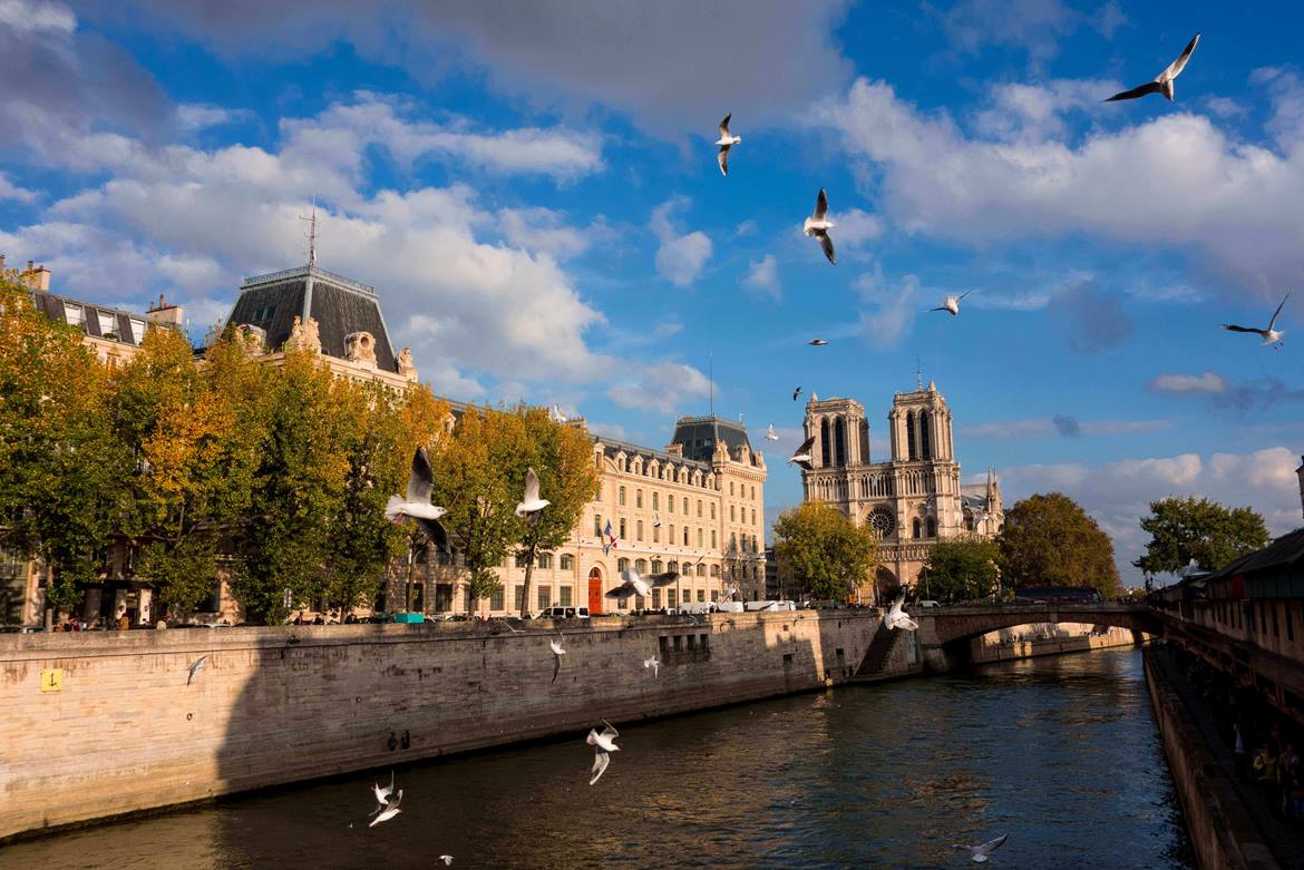 ID681 3 Notre Dame