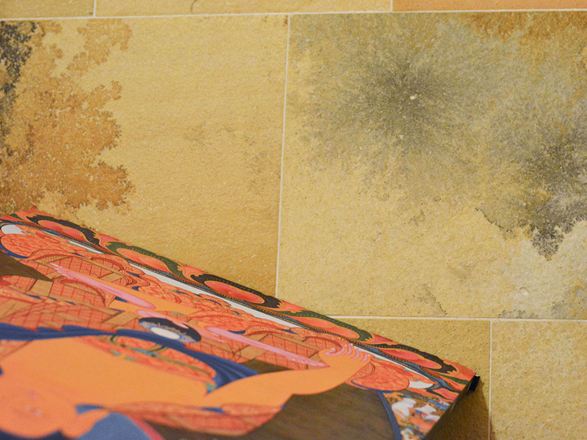 Nahaufnahme von Solnhofener Kalkstein mit faszinierenden Inklusionen