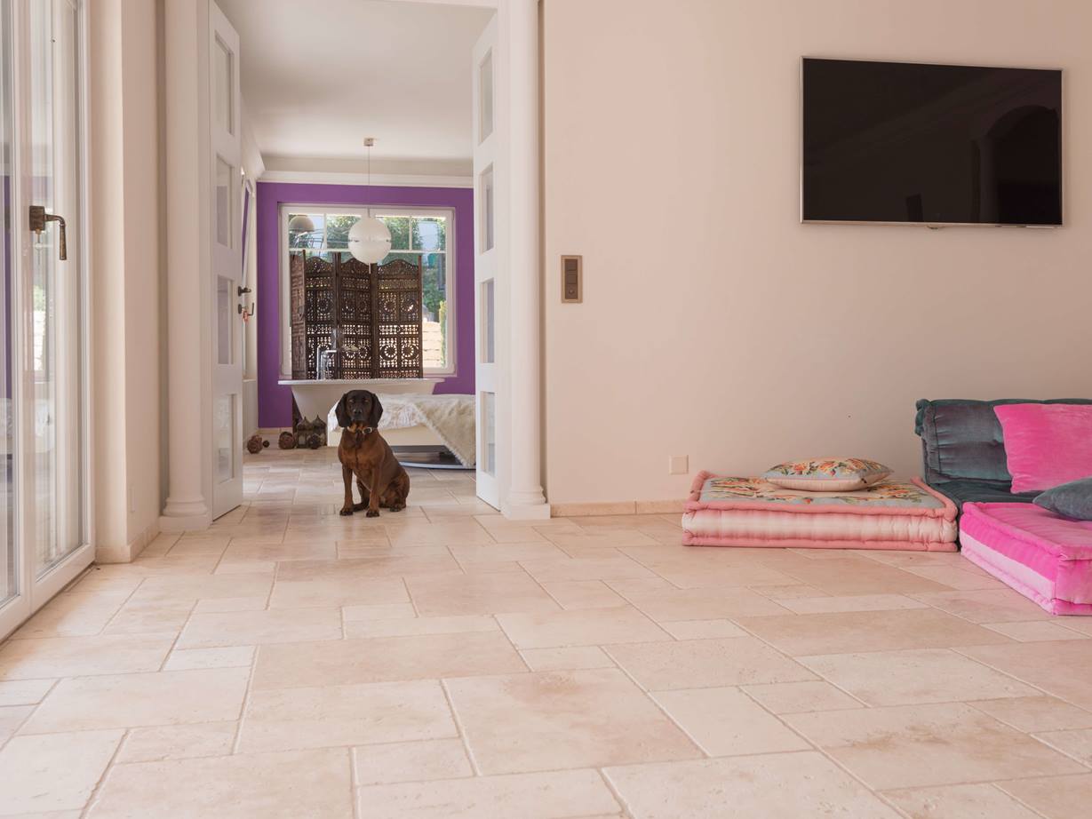 Kleiner Hund sitzt in Durchgang zum Bad auf getrommelter, ungespachtelter Travertinfliese Light in römischem Verband
