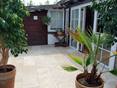 Gartenhaus und Eingang zum Haus mit grossen Topfpflanzen und Travertinplatte Medium in hellem Beige