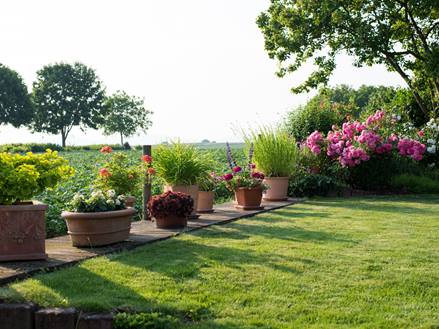 Garten mit blühenden Rosen