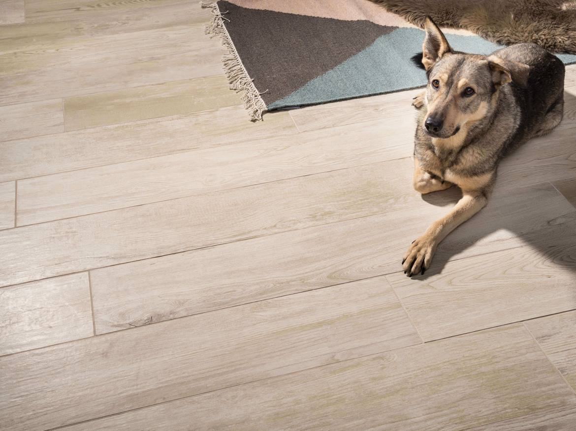 Hund liegt auf Feinsteinzeug-Fliesen in Holzoptik