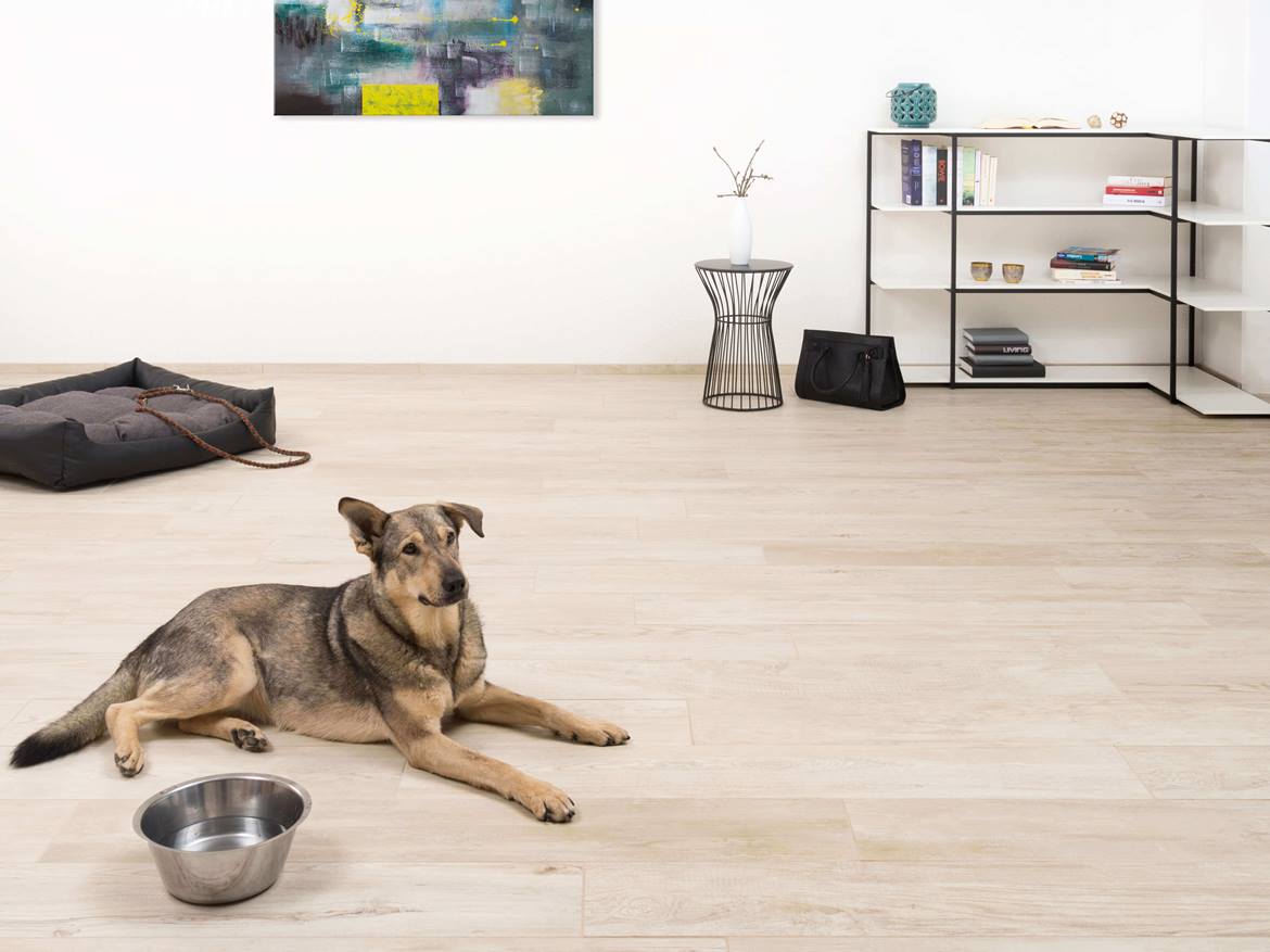 Hund liegt auf Fliesen in Holzoptik Urban White in modernem Wohnzimmer