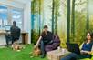 Mitarbeiter mit Hunden in Büro mit Wandtapete